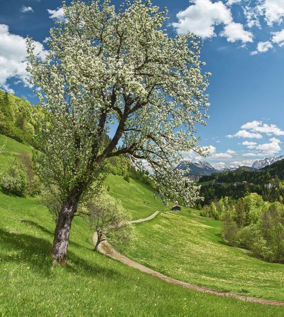 juffing-landschaft-mallaun-ludwig-26916-v43-bearb juffing-landschaft-mallaun-ludwig-26916-v43-bearb