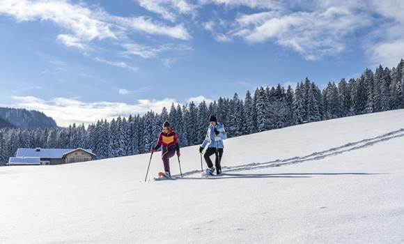 juffing-natur-snowshoe-54-hofmann-rainer juffing-natur-snowshoe-54-hofmann-rainer