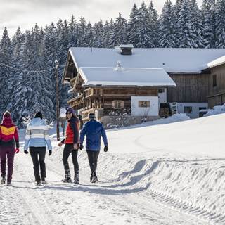 juffing-natur-wandern-7-rainer-hofmann