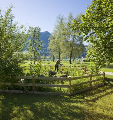 tvb-kufsteinerland-kraeuterspirale-thiersee-hannes-dabernig tvb-kufsteinerland-kraeuterspirale-thiersee-hannes-dabernig