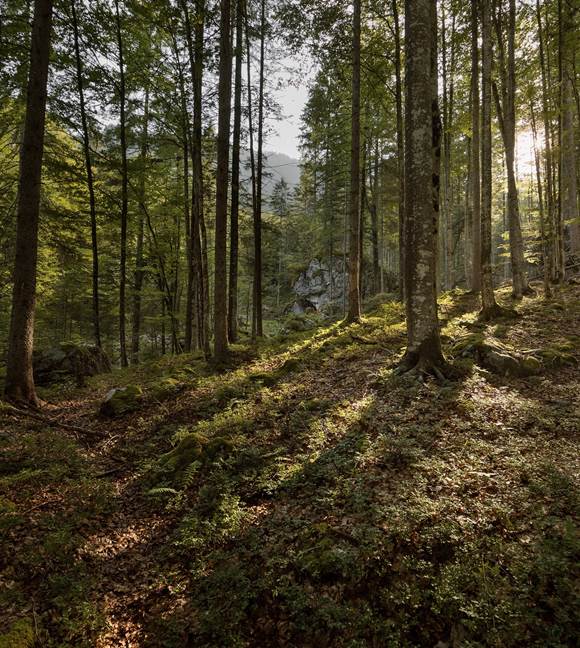 tvb-kufsteinerland-naturschutzgebiet-kaisertal-lolin tvb-kufsteinerland-naturschutzgebiet-kaisertal-lolin